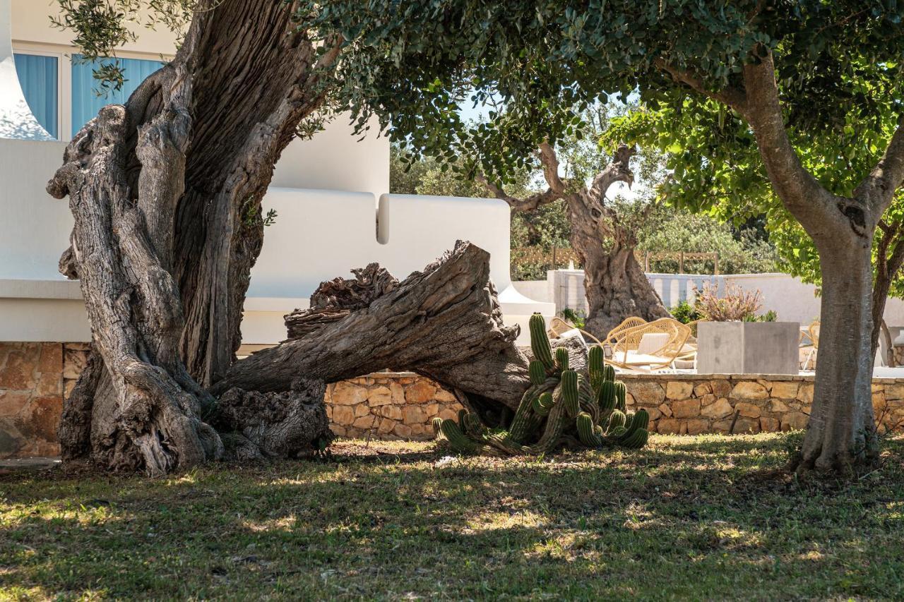 Villa Al Mare Sea, Relax & Wellness Monopoli Exterior photo